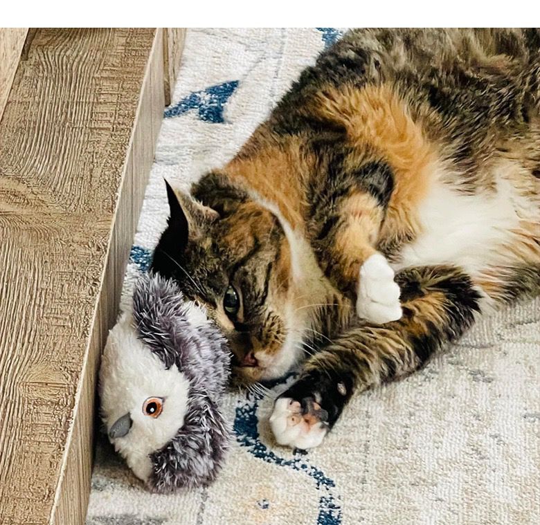 Interactive Bird Cat Toy