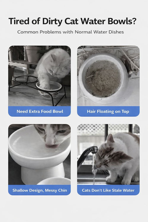 Automatic Water Dispenser